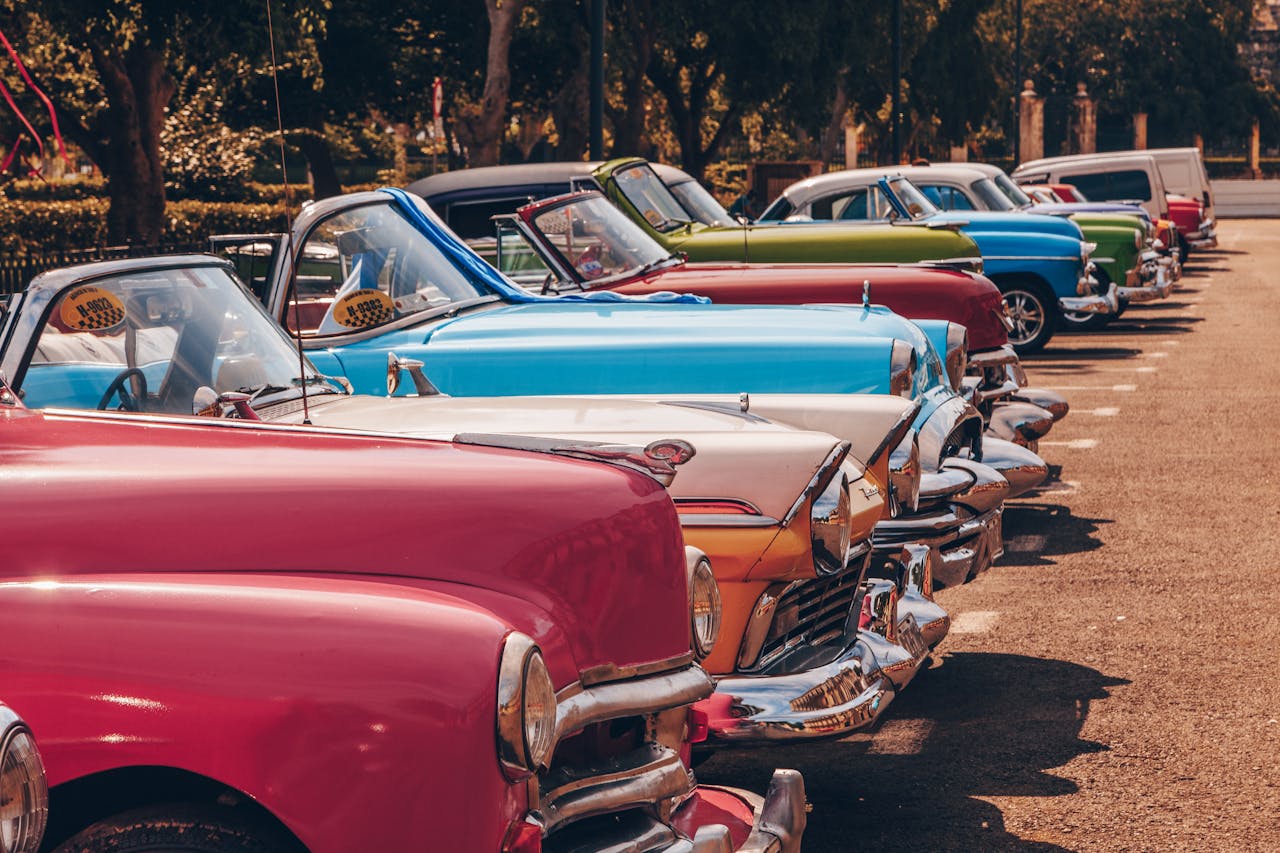 Classic muscle cars lined up at car show