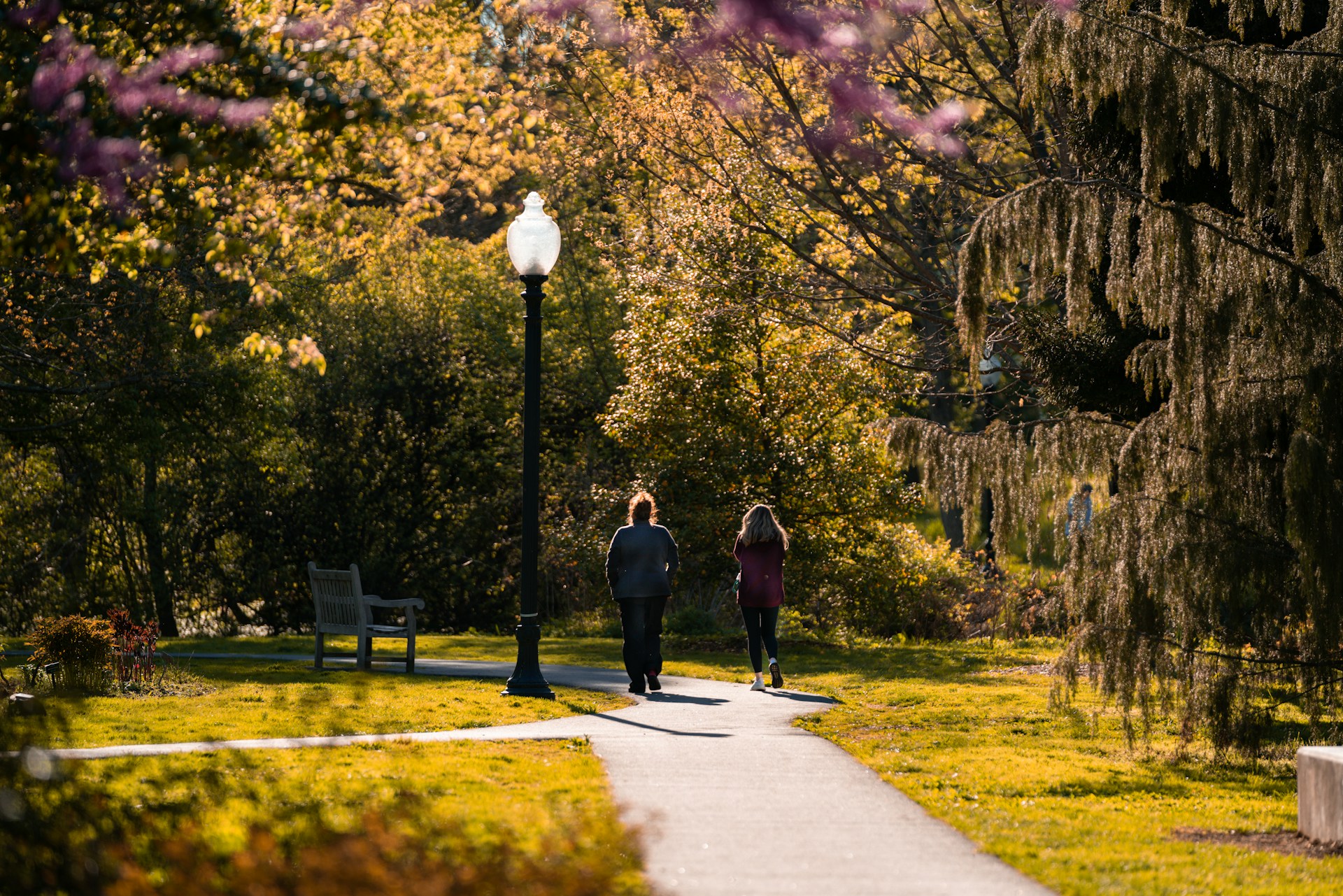 People walking in a park in South Jersey
