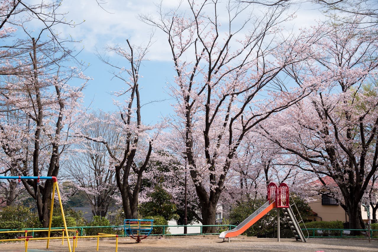 playground